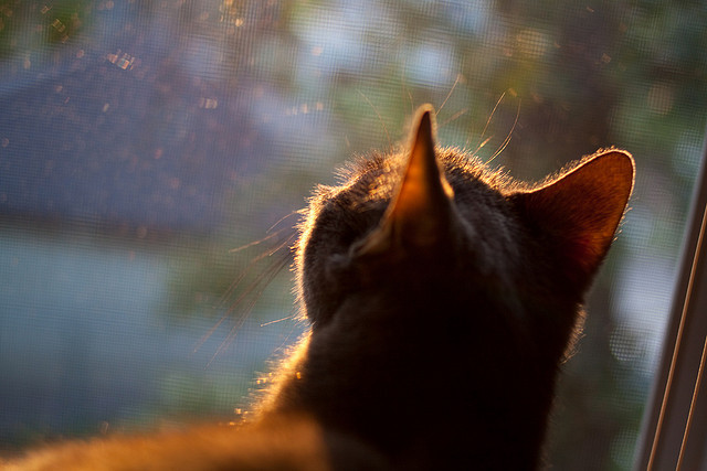 乐鱼电竞· (中国)官方网站-中超联赛球队阵容调整频繁，中超联赛球队阵容调整频繁了吗