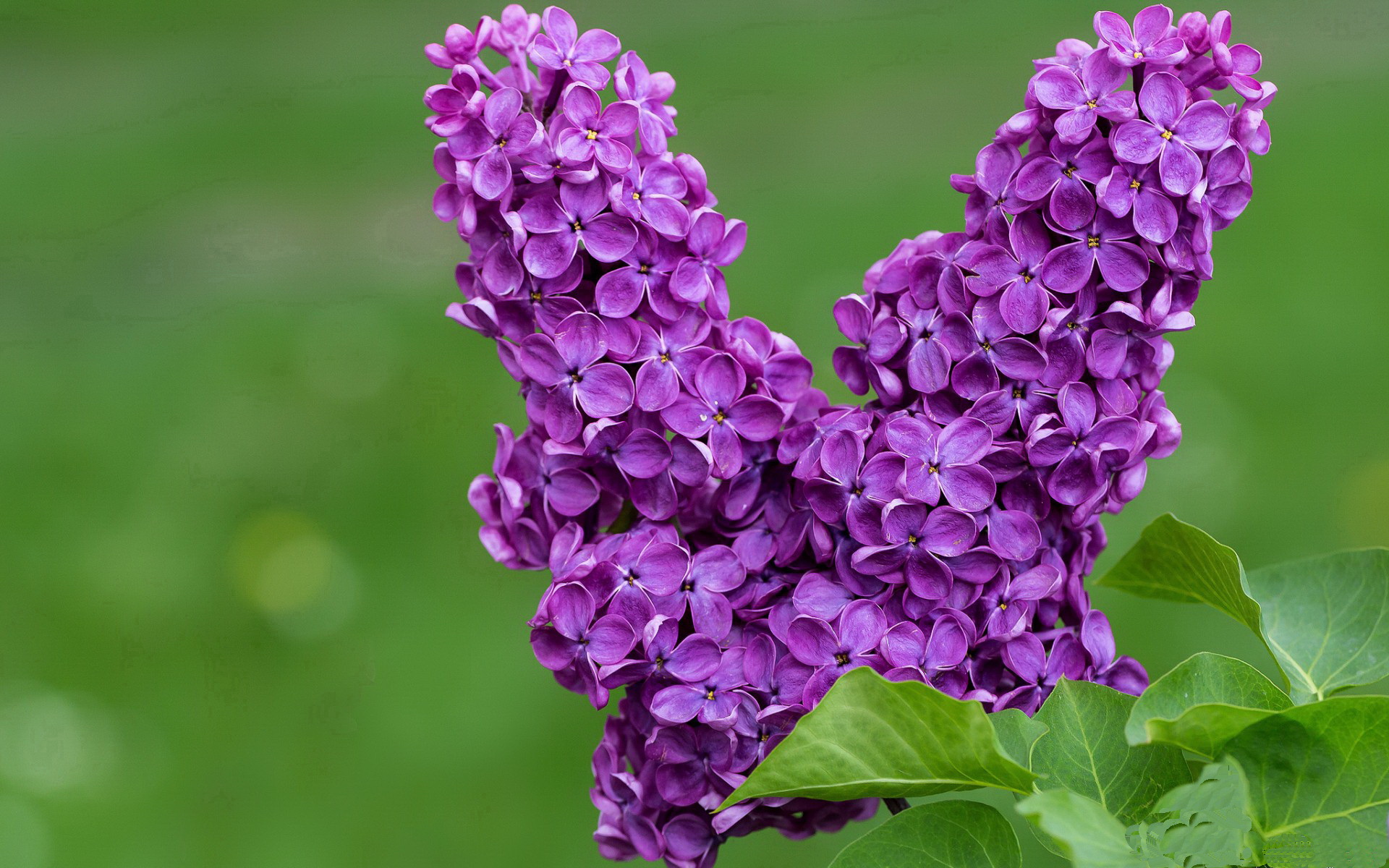 体育新闻中心协助高校开展体育新闻融合教学改革,体育学院新闻稿