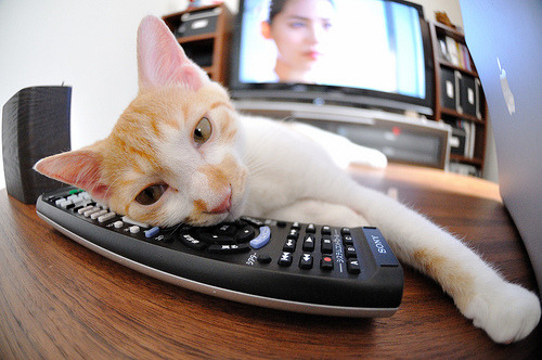 俱乐部战略规划与执行力不足，俱乐部战略规划与执行力不足怎么办