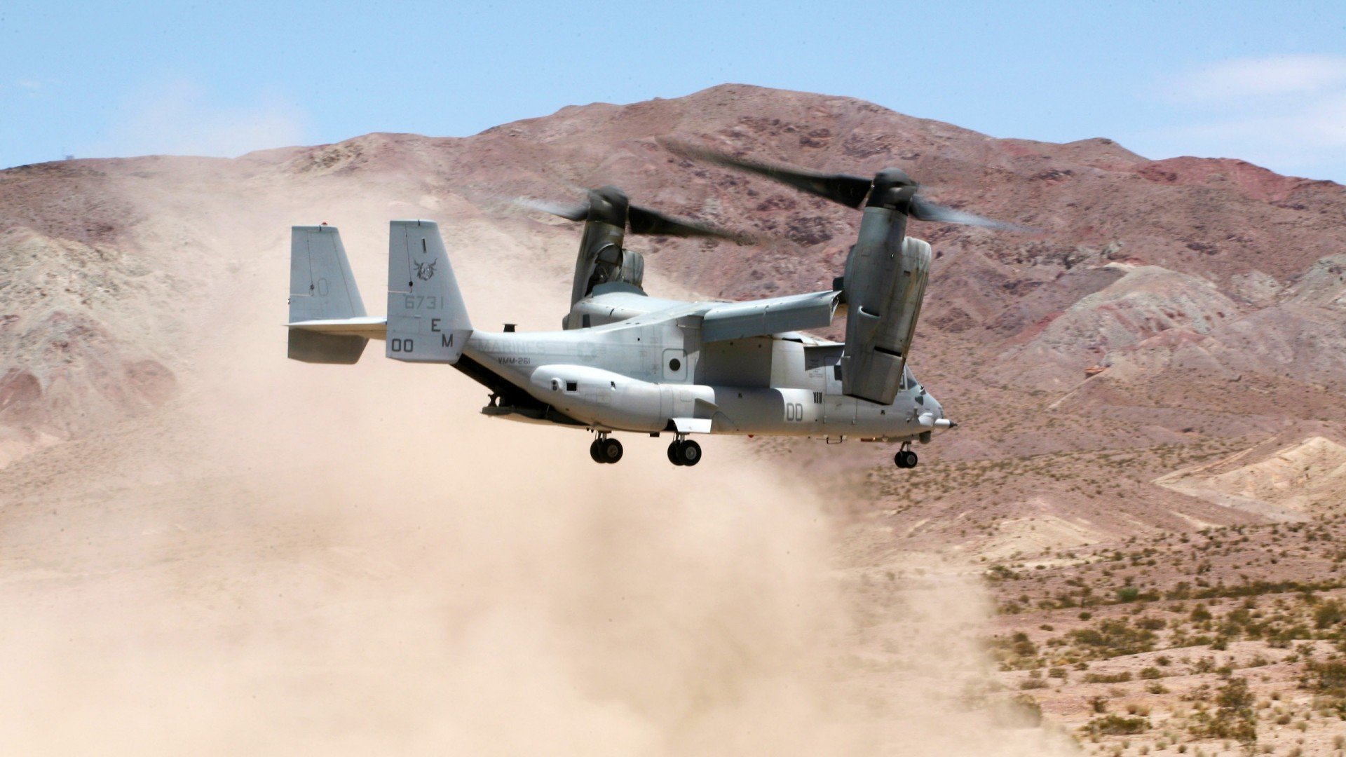 LEYU乐鱼体育官方网站-国际米兰整体强度上升构建稳固后场，国际米兰tifo