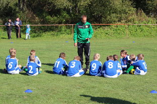 乐鱼体育App下载-瑞典团队战术：从快攻到慢球的多变打法，瑞典几分钟进球