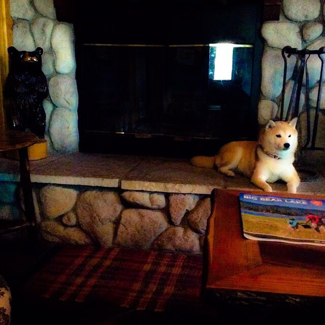 万乐天稳步提升成绩赢得喝彩,万乐科技