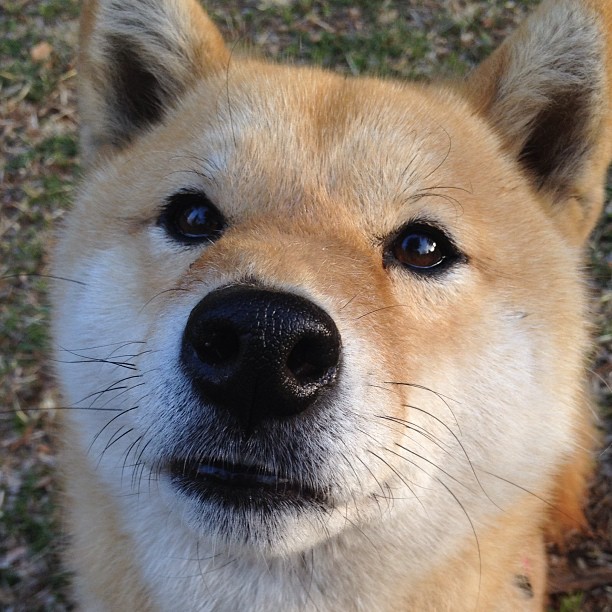 万乐天稳步提升成绩赢得喝彩,万乐科技