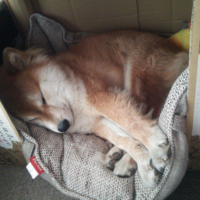 中国足球俱乐部加强球员个人发展教练配备，中国足球队员规划