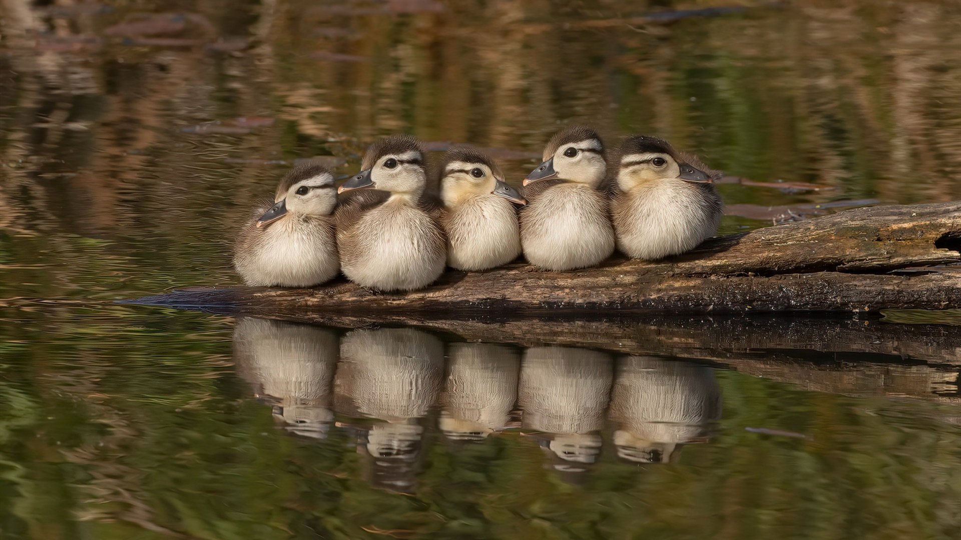 中学篮球积极开展篮球主题教育丰富体育内容，中学生篮球培训