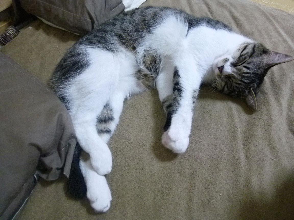 吉尔吉斯斯坦女篮努力追赶，在国际舞台持续崭露头角