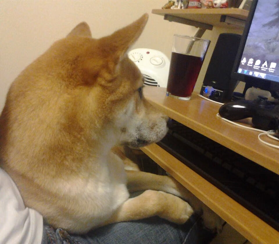 乐鱼（LEYU）体育-女子篮球青训注重身体与技能结合促进成长，女子篮球队训练教案