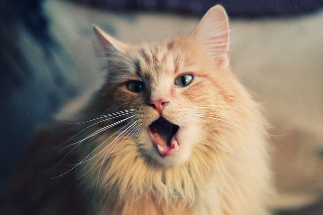 乐鱼体育平台官网-拜仁慕尼黑新援融入球队，助力德甲争冠