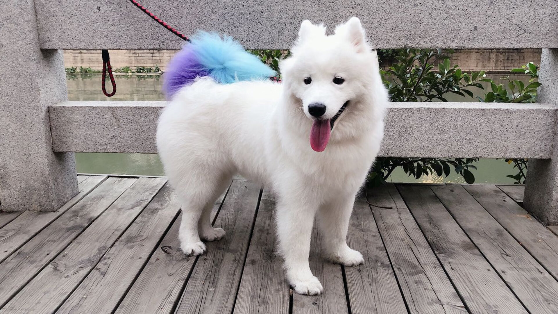 下载乐鱼体育APP-数字化足球裁判系统提升赛事公正性，行业标准逐步建立，数字智能足球