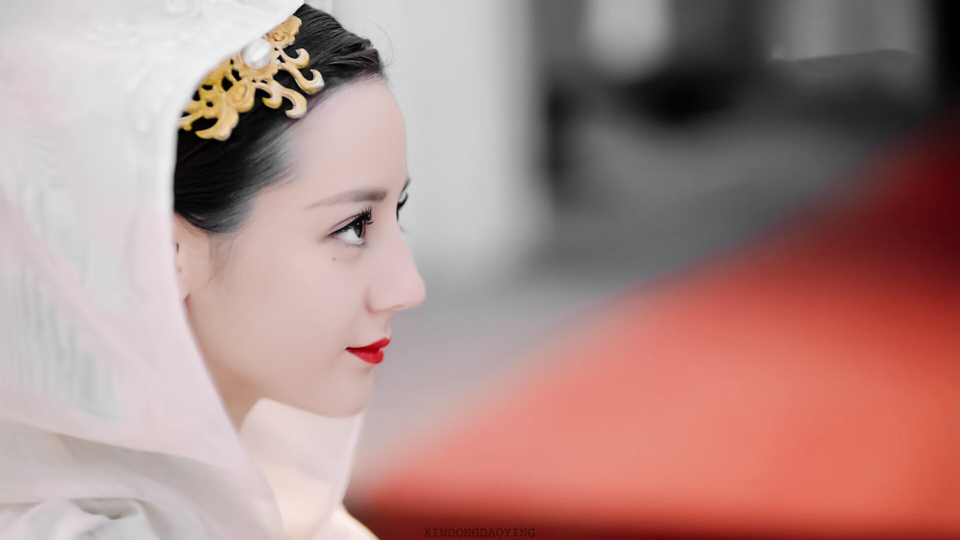 澳大利亚橄榄球队备战世界杯,能否再度冲击冠军?,澳大利亚橄榄球介绍