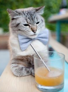 乐鱼电竞-职业联赛完善转会注册管理防止违规引援操作，职业选手转会合同