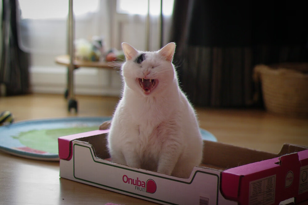 乐鱼电竞在线平台-自由泳短距离摩纳哥选手冲进前列，自由泳2021