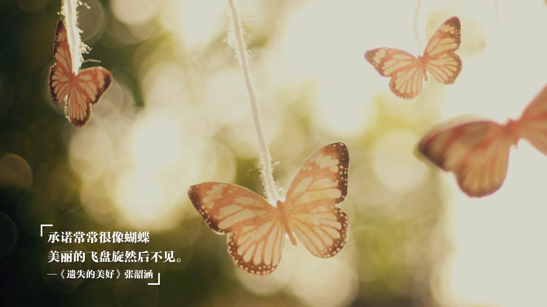 覃海洋赛场表现获教练高度评价，覃海洋游泳运动员资料